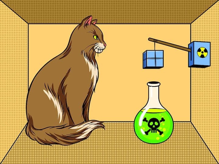 Schr&ouml;dinger's Cat and the Historian